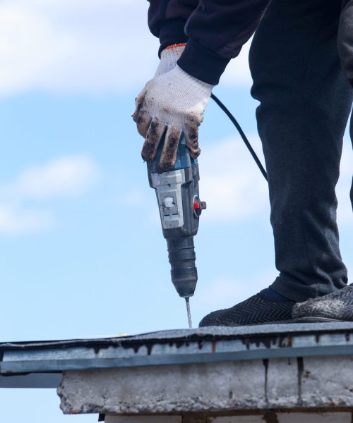 Animal Damage Repair Roof