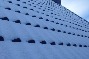 Snow & Leafguard Services