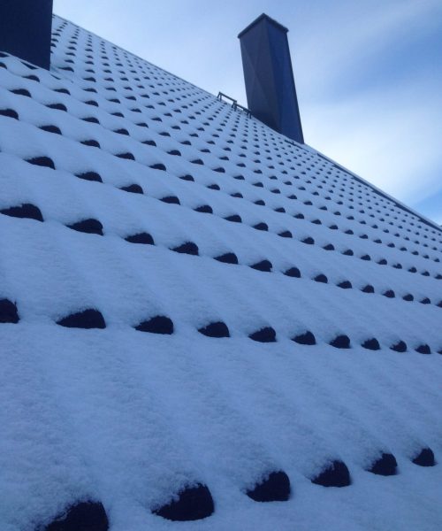 Snow & Leafguard Services